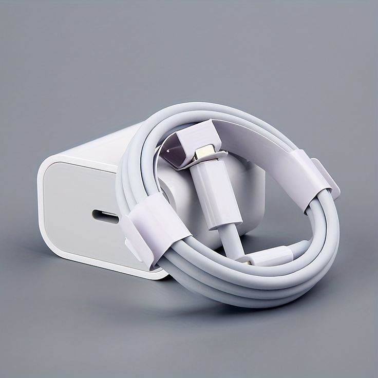 Fast Charger